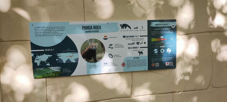 Panneau pédagogique des Terres de Nataé concernant le panda roux