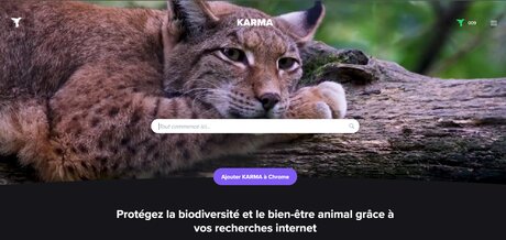 Protégez la biodiversité et le bien-être animal grâce à vos recherches internet